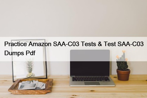 Practice Amazon SAA-C03 Tests & Test SAA-C03 Dumps ...